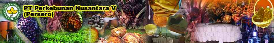 PT Perkebunan Nusantara V