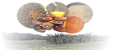 PT Perkebunan Nusantara V